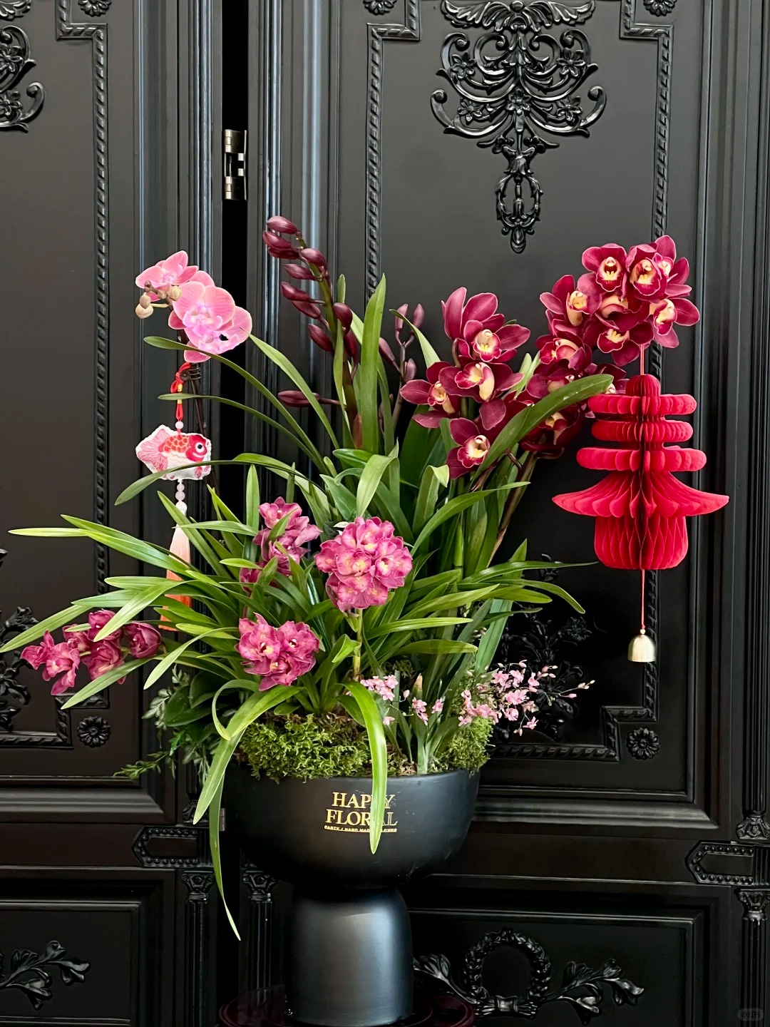 Tết Nguyên đán năm nay mà nhà không có 1 chậu địa lan thì đúng là "phải tội": Học 3 cách chăm từ giờ để hoa nở đầy phòng khách- Ảnh 6.