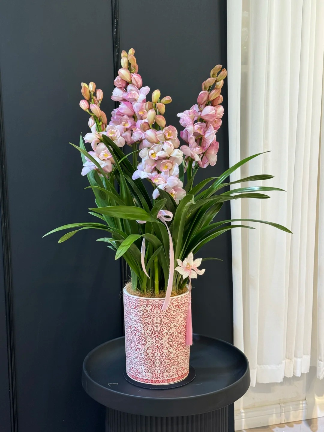 Tết Nguyên đán năm nay mà nhà không có 1 chậu địa lan thì đúng là "phải tội": Học 3 cách chăm từ giờ để hoa nở đầy phòng khách- Ảnh 25.