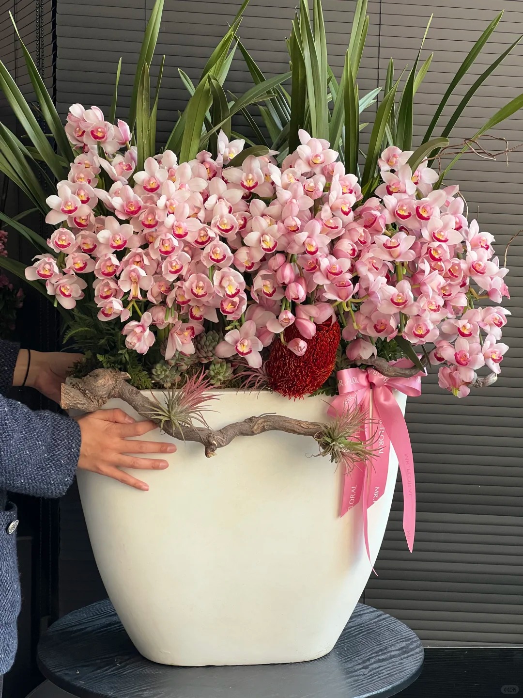 Tết Nguyên đán năm nay mà nhà không có 1 chậu địa lan thì đúng là "phải tội": Học 3 cách chăm từ giờ để hoa nở đầy phòng khách- Ảnh 21.