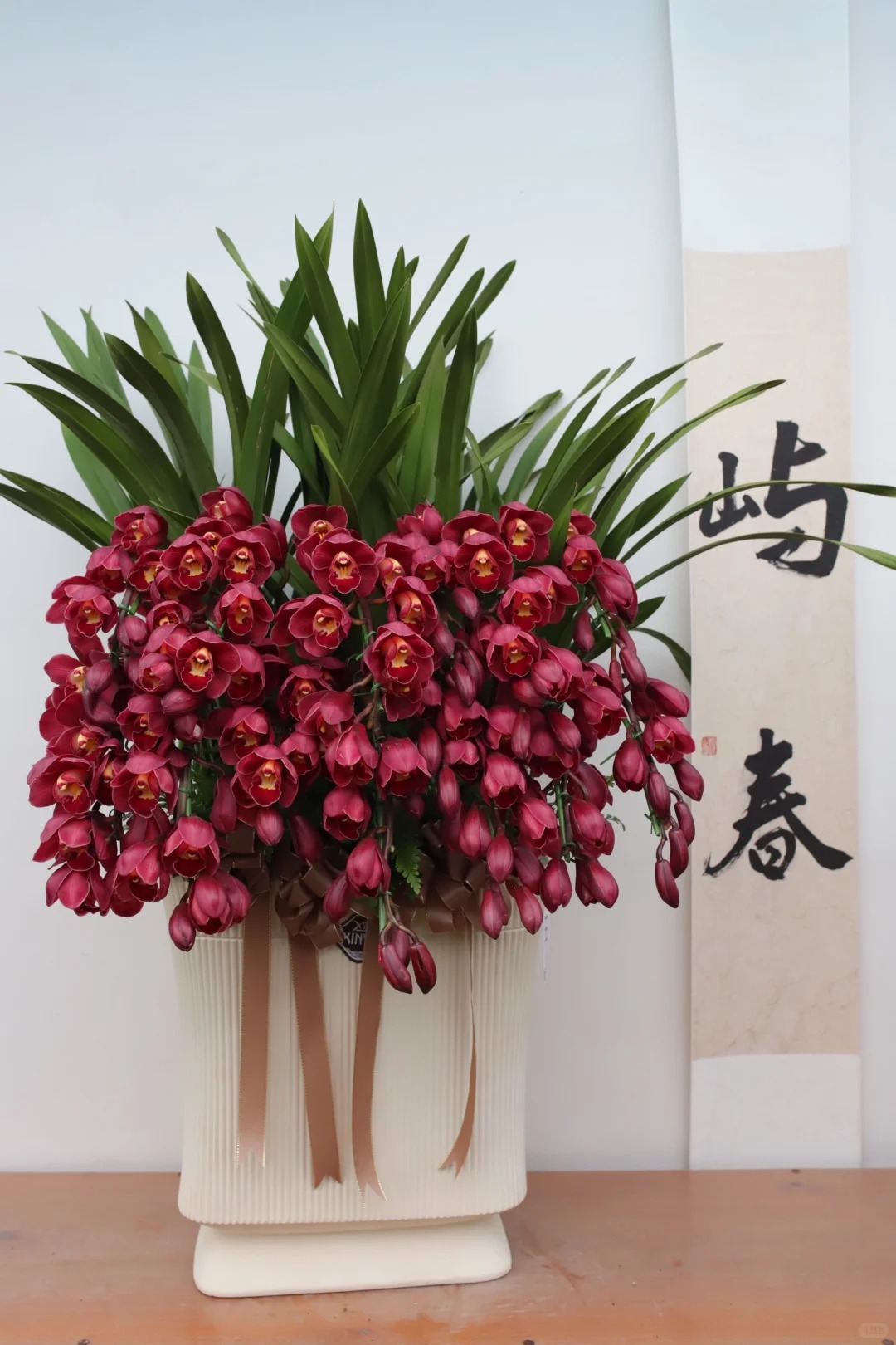 Tết Nguyên đán năm nay mà nhà không có 1 chậu địa lan thì đúng là "phải tội": Học 3 cách chăm từ giờ để hoa nở đầy phòng khách- Ảnh 20.