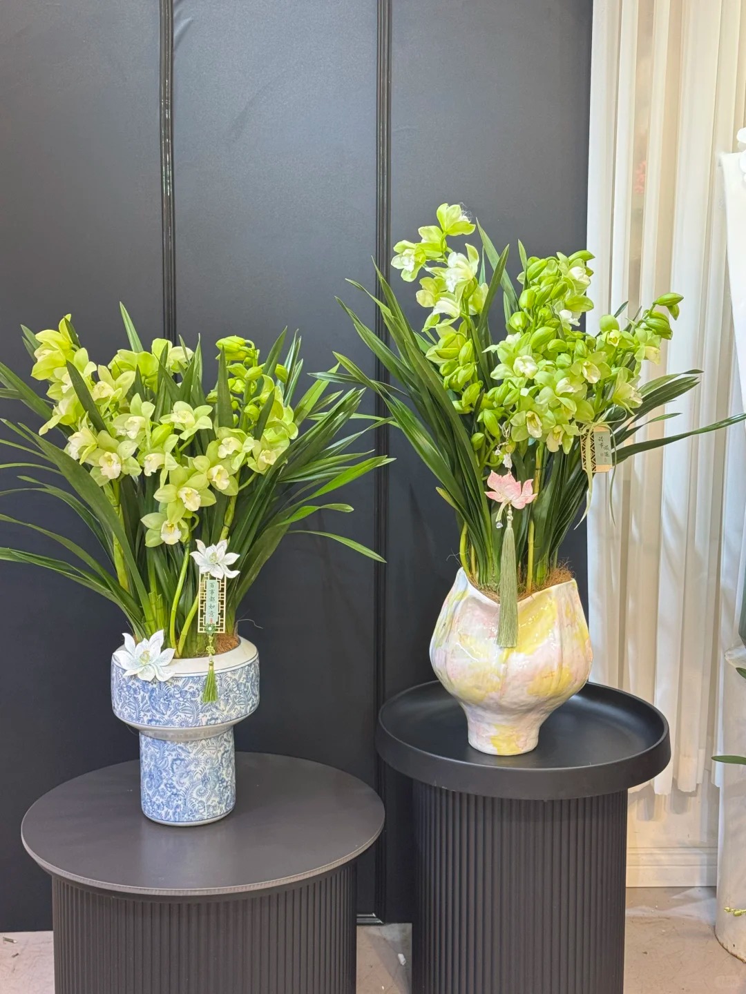 Tết Nguyên đán năm nay mà nhà không có 1 chậu địa lan thì đúng là "phải tội": Học 3 cách chăm từ giờ để hoa nở đầy phòng khách- Ảnh 19.