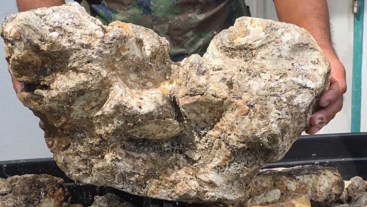 Đánh cá trên biển, người đàn ông vớt được thứ trị giá 98 tỷ đồng- Ảnh 1.