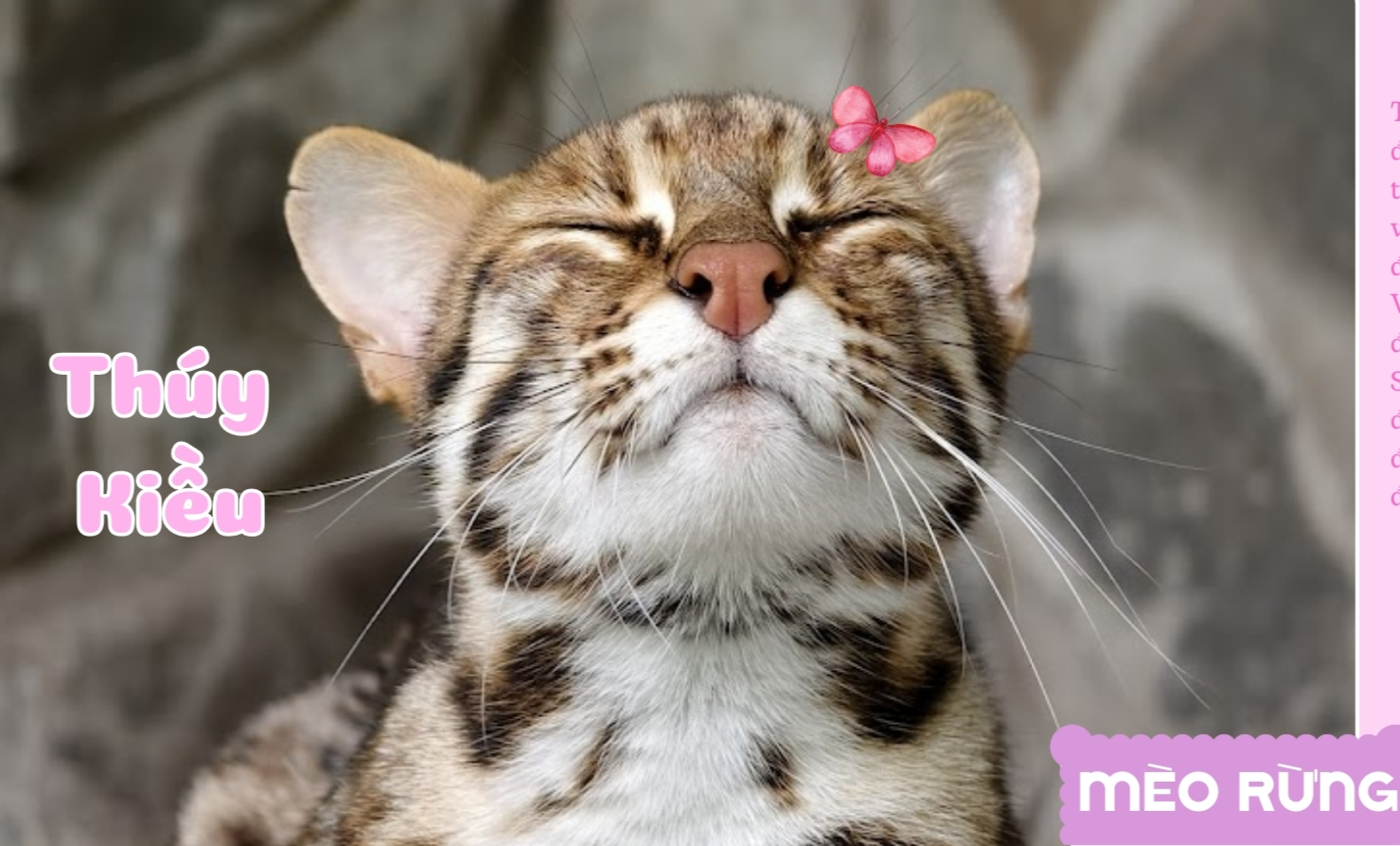 Thảo Cầm Viên Sài Gòn ra mắt bộ lịch “Yêu thương đong đầy” sẻ chia cùng đồng bào vùng lũ- Ảnh 6. Thảo Cầm Viên Sài Gòn ra mắt bộ lịch “Yêu thương đong đầy” sẻ chia cùng đồng bào vùng lũ- Ảnh 6.