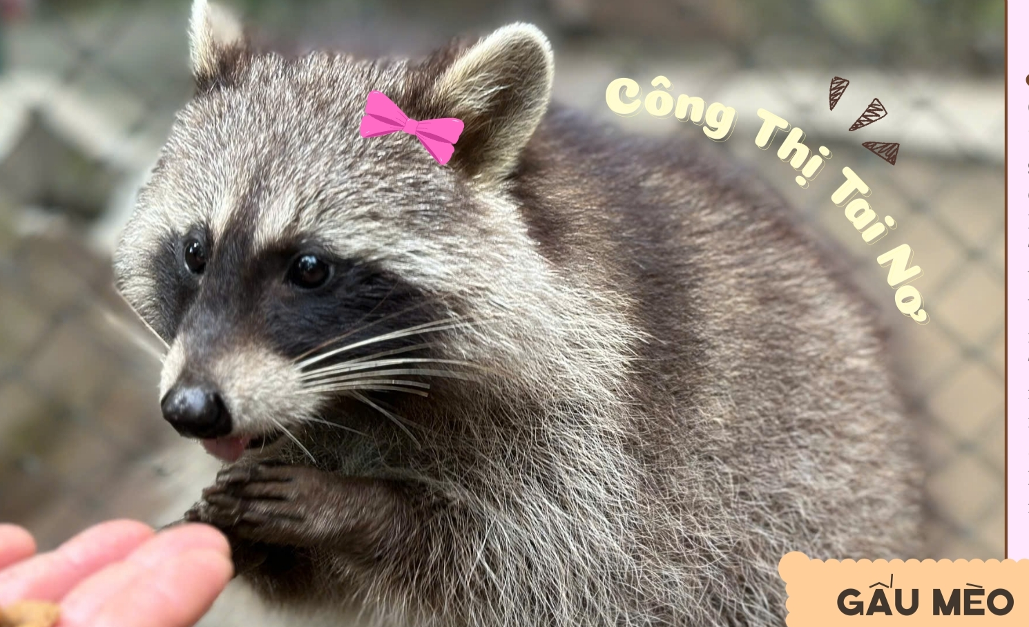 Thảo Cầm Viên Sài Gòn ra mắt bộ lịch “Yêu thương đong đầy” sẻ chia cùng đồng bào vùng lũ- Ảnh 2. Thảo Cầm Viên Sài Gòn ra mắt bộ lịch “Yêu thương đong đầy” sẻ chia cùng đồng bào vùng lũ- Ảnh 2.