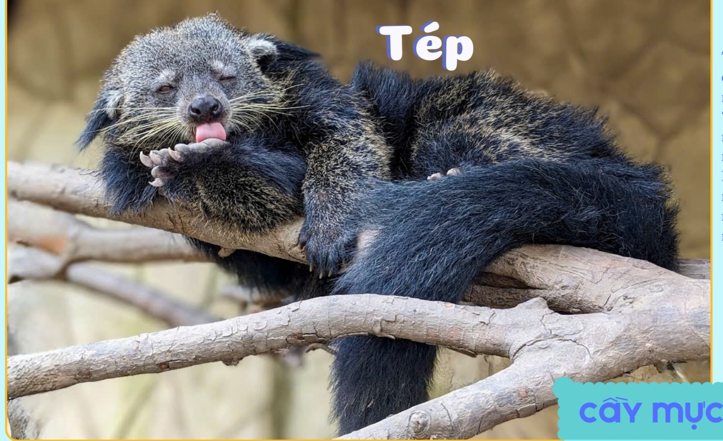 Thảo Cầm Viên Sài Gòn ra mắt bộ lịch “Yêu thương đong đầy” sẻ chia cùng đồng bào vùng lũ- Ảnh 4. Thảo Cầm Viên Sài Gòn ra mắt bộ lịch “Yêu thương đong đầy” sẻ chia cùng đồng bào vùng lũ- Ảnh 4.