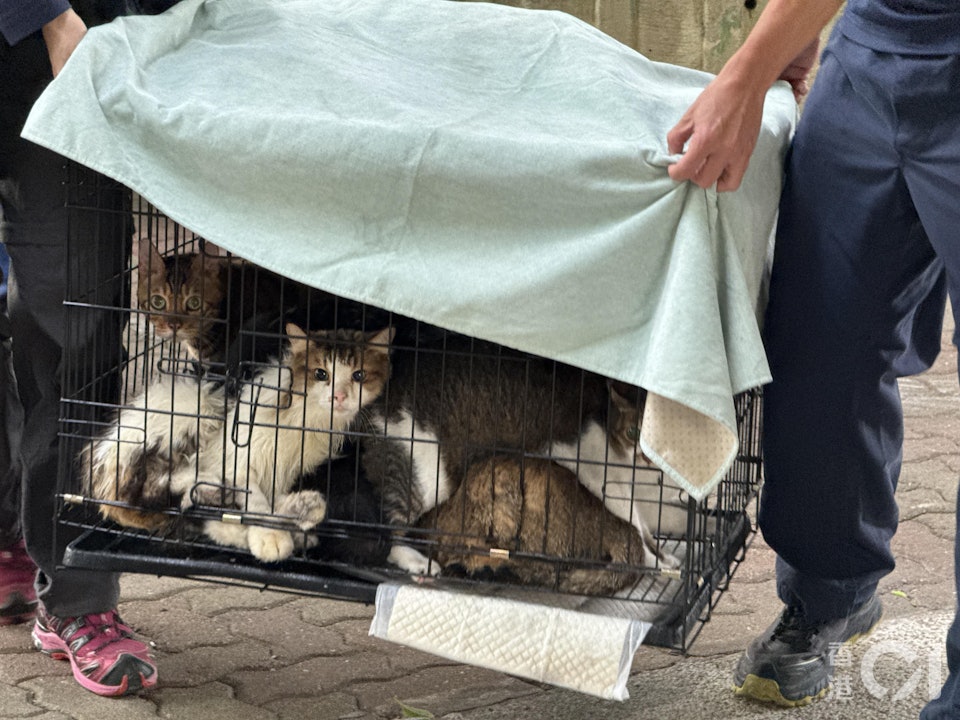 Câu chuyện ấm lòng giữa tang thương trong vụ cháy chung cư Hong Kong (Trung Quốc): Lính cứu hỏa có phải có "thần lực" không?- Ảnh 3. Câu chuyện ấm lòng giữa tang thương trong vụ cháy chung cư Hong Kong (Trung Quốc): Lính cứu hỏa có phải có "thần lực" không?- Ảnh 3.