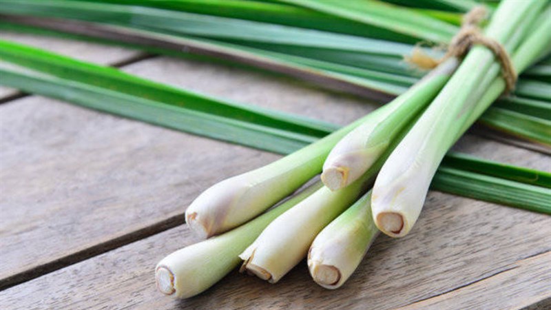 8 cách đuổi rết vĩnh viễn ra khỏi nhà- Ảnh 6.