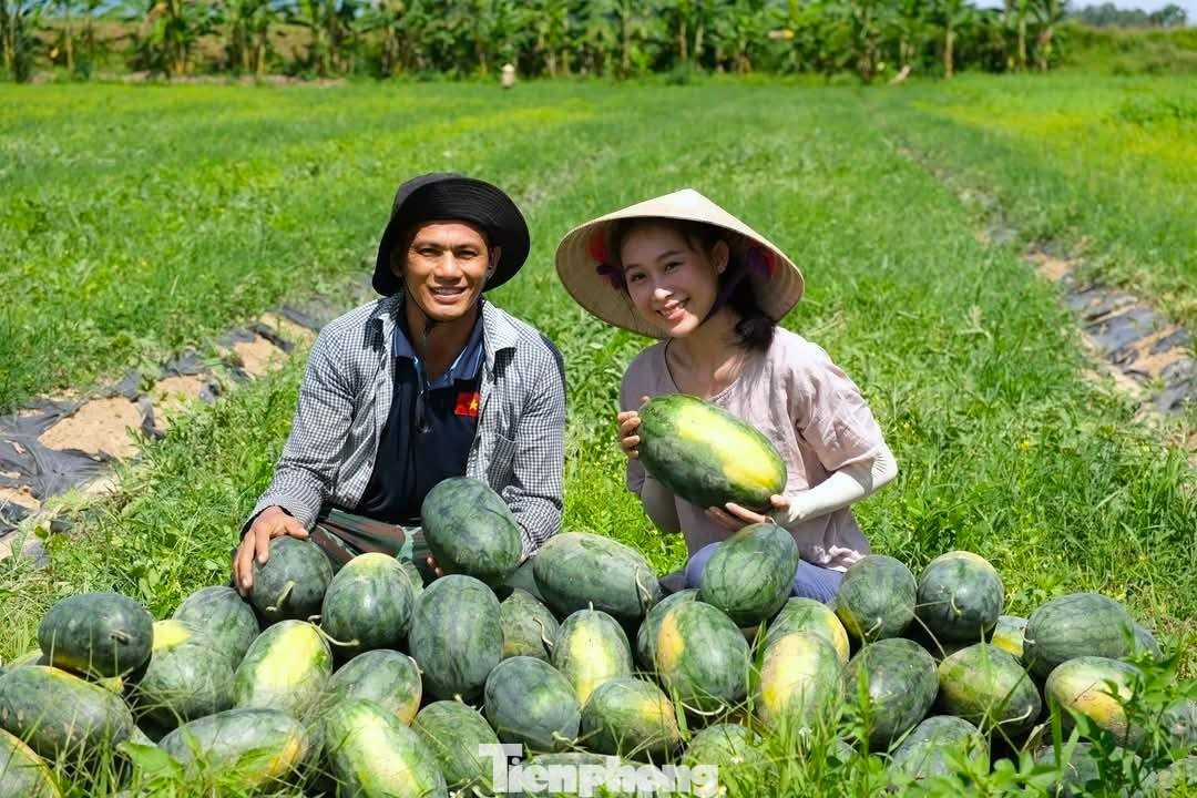 Khởi nghiệp trồng giống dưa lạ, livestream giữa ruộng 'chốt đơn mỏi tay'- Ảnh 4.