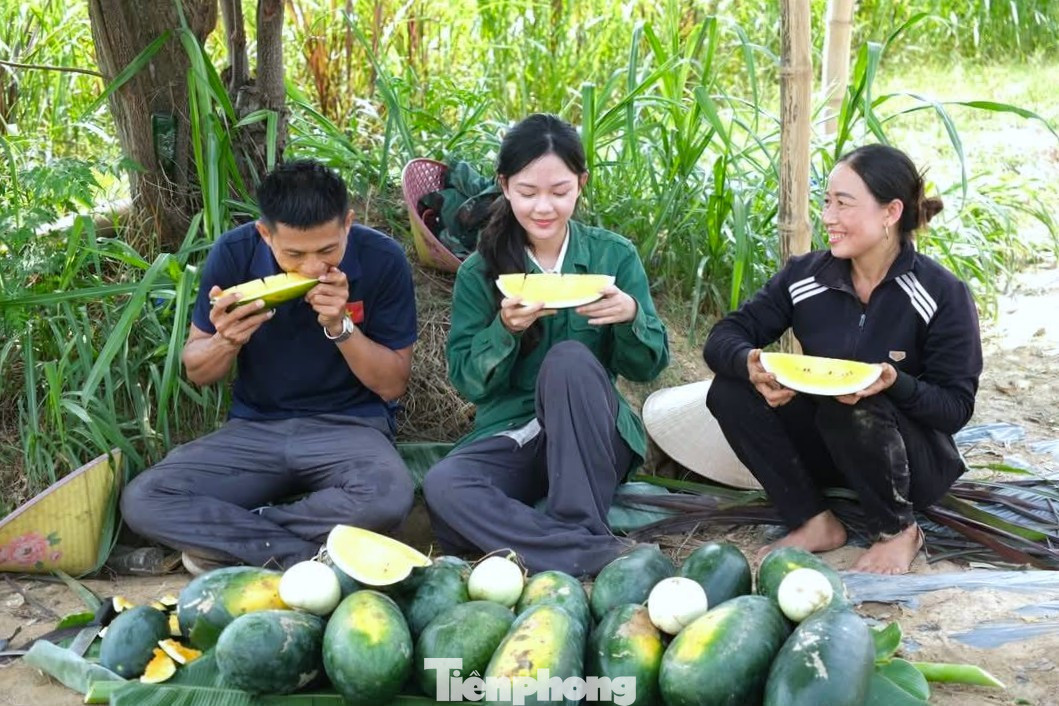 Khởi nghiệp trồng giống dưa lạ, livestream giữa ruộng 'chốt đơn mỏi tay'- Ảnh 5.