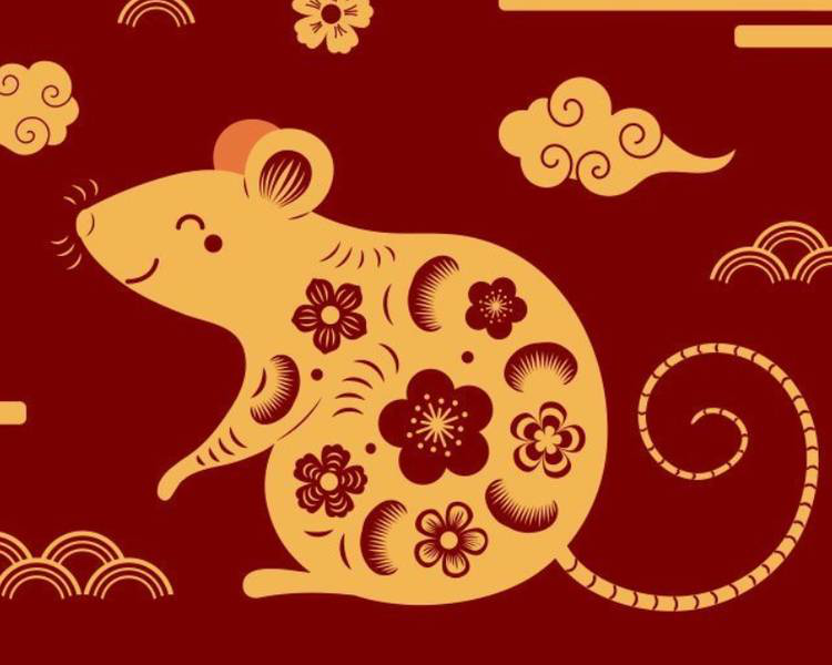 Tuổi Tý làm nghề gì nhanh giàu?- Ảnh 2.