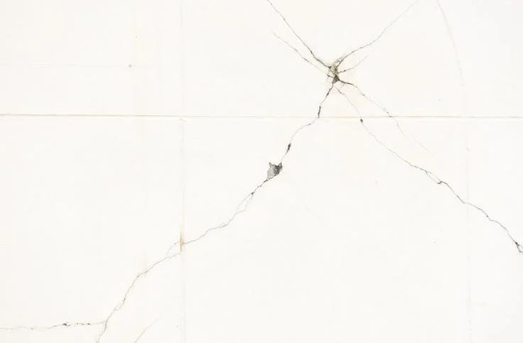 8 cách đuổi rết vĩnh viễn ra khỏi nhà- Ảnh 1.