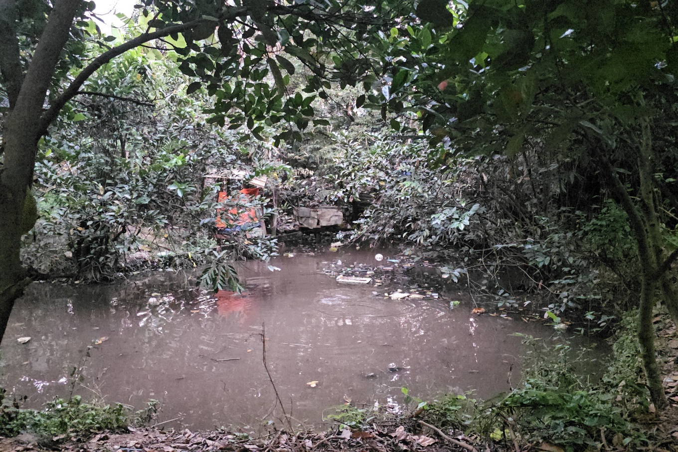 Thương tâm bé trai 5 tuổi ở TPHCM tử vong vì ao nước phía sau nhà trọ- Ảnh 1.