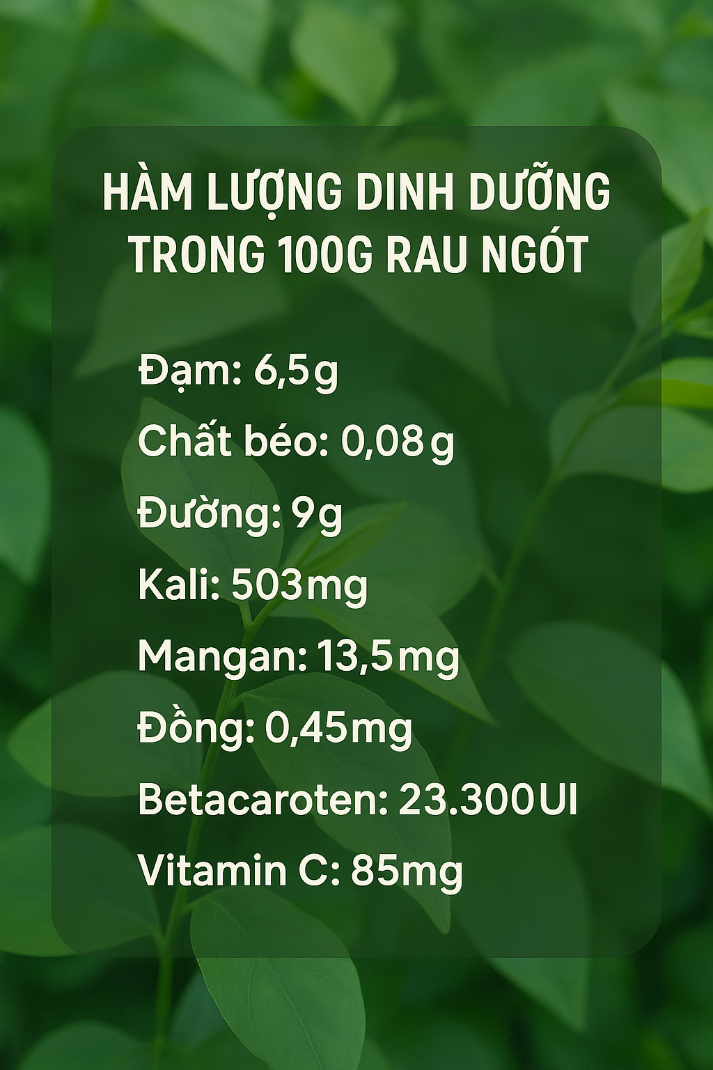 Loại rau nhiều sắt gấp 6 lần thịt bò, giúp bồi bổ sức khỏe: Mọc đầy góc vườn, còn được dùng làm thuốc- Ảnh 1.