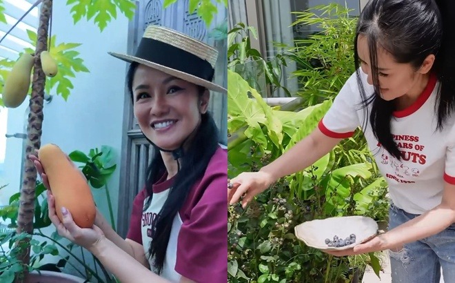 Penthouse của diva Hồng Nhung- Ảnh 3. Penthouse của diva Hồng Nhung- Ảnh 3.