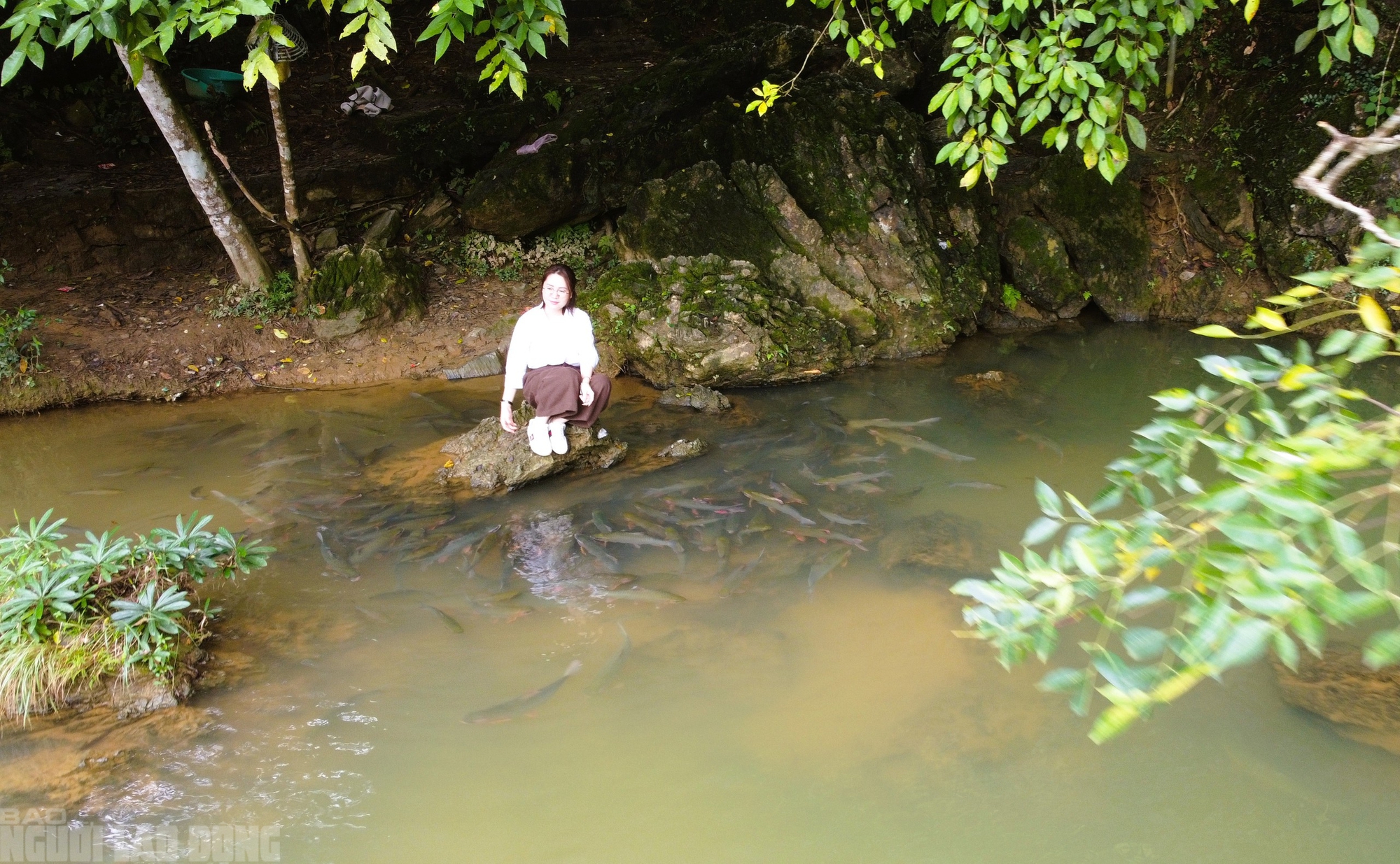 Có một suối "cá thần" khác ở Thanh Hóa mà nhiều người chưa biết- Ảnh 3.