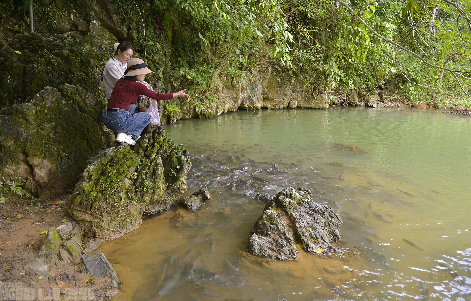 Có một suối "cá thần" khác ở Thanh Hóa mà nhiều người chưa biết- Ảnh 4.