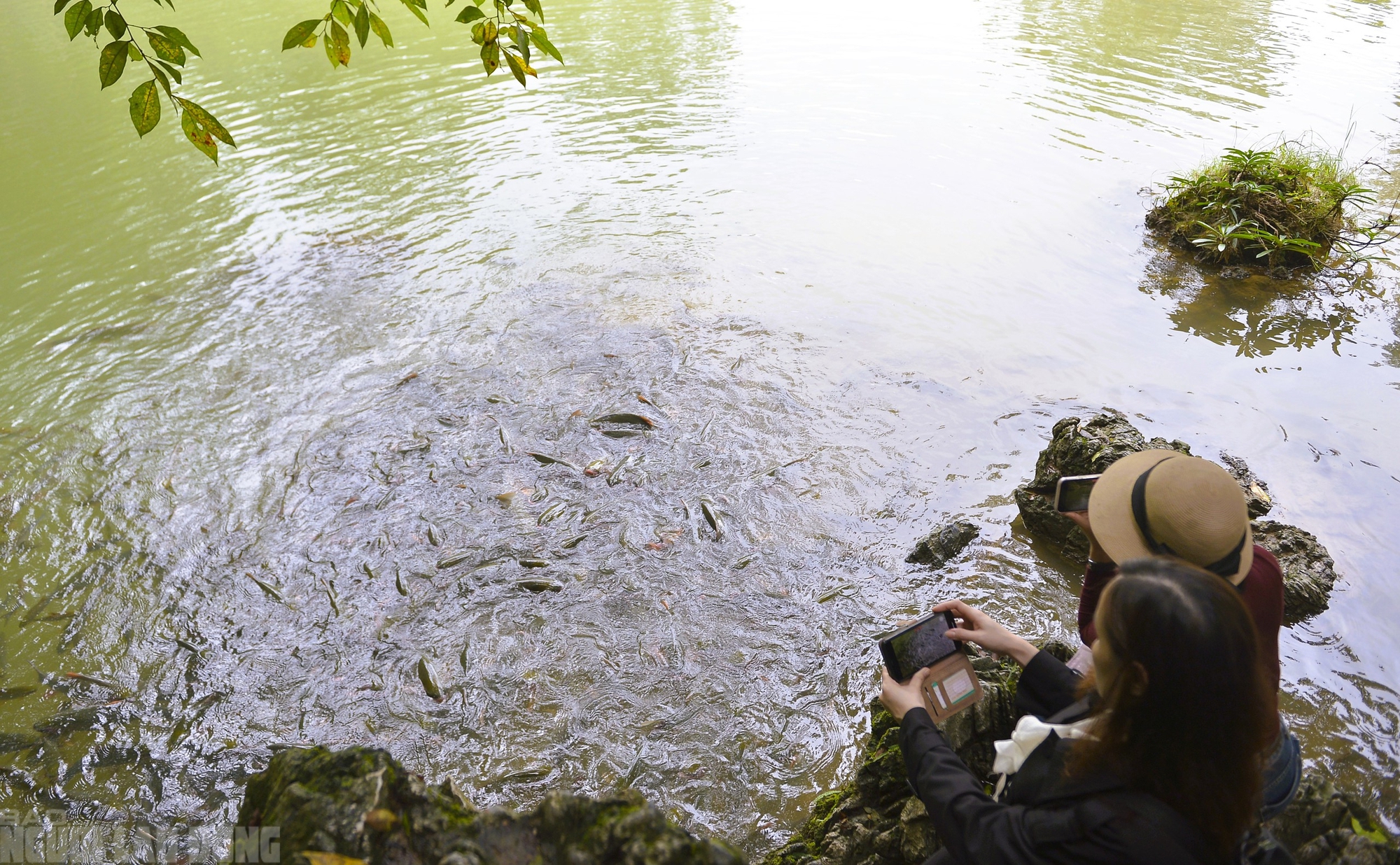 Có một suối "cá thần" khác ở Thanh Hóa mà nhiều người chưa biết- Ảnh 6.