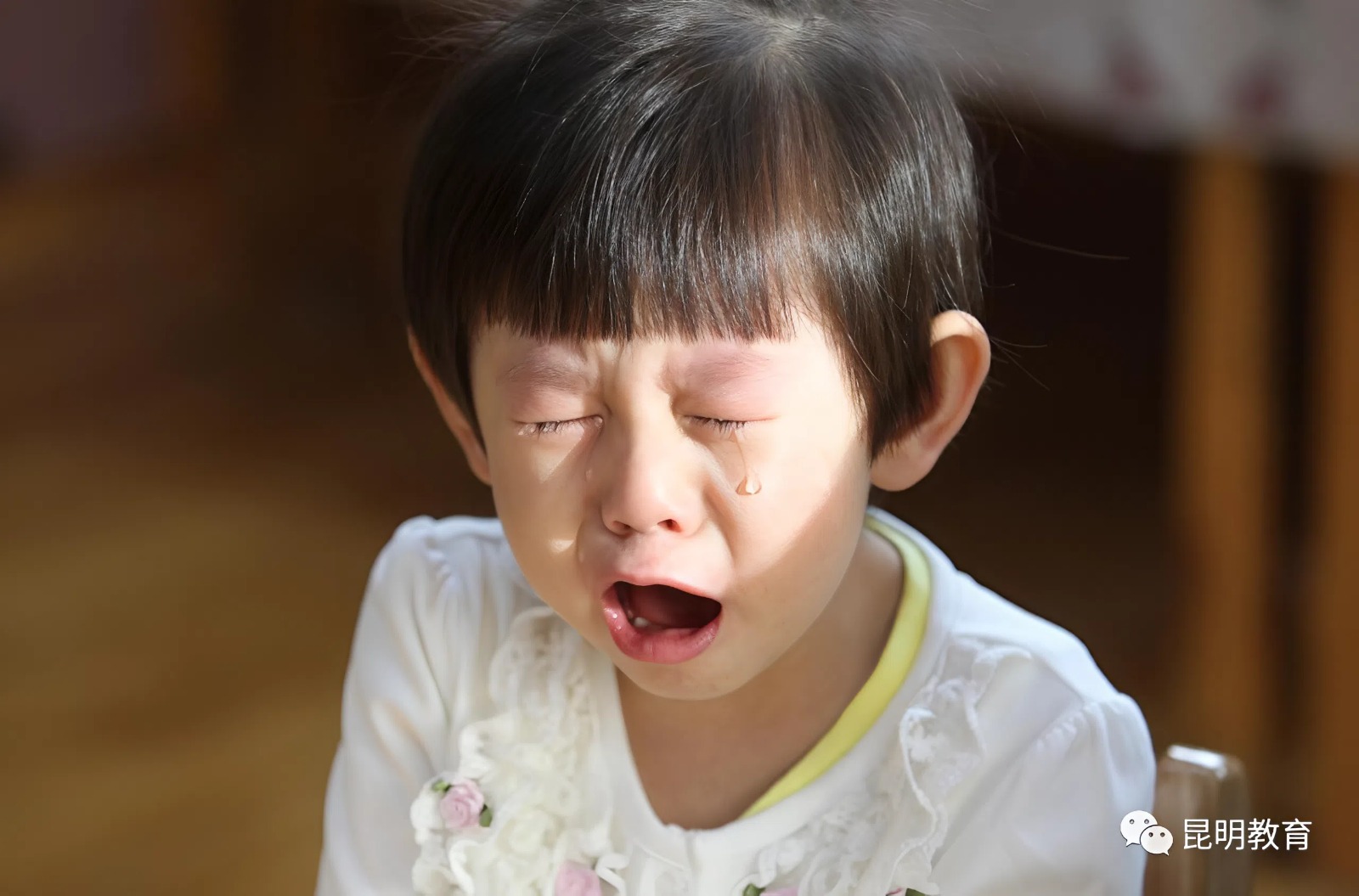 Giáo sư Harvard chỉ ra: 3 dấu hiệu ở trẻ dự báo lớn lên "không có tiền đồ"!- Ảnh 1.