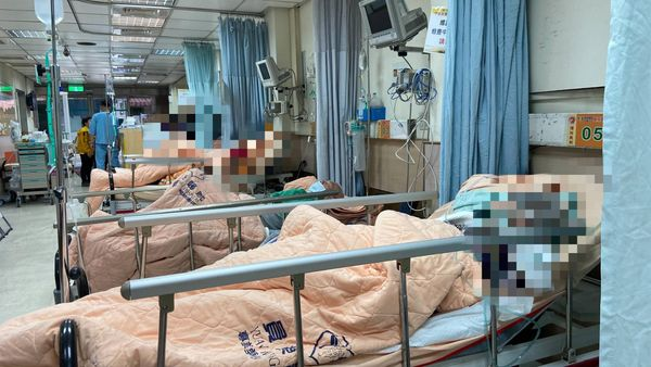 Cả nhà 3 người nhập viện vì sốt cao, choáng ngất, xét nghiệm dương tính với 1 bệnh đang vào mùa- Ảnh 1.