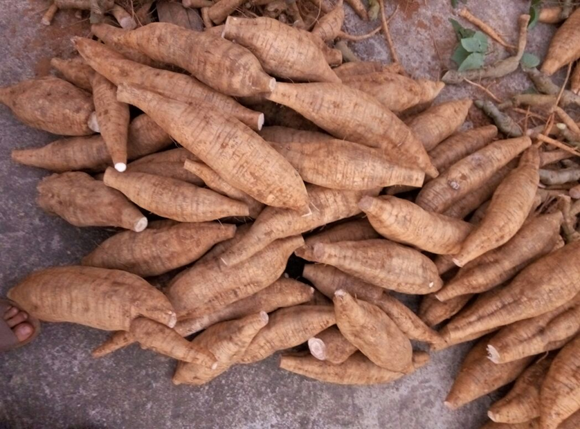 Phụ nữ đừng quá tiết kiệm, hãy dùng nhiều 7 thực phẩm này để bổ sung estrogen, khuôn mặt trẻ ra vài tuổi- Ảnh 1.