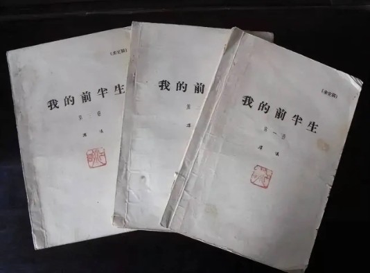 Số tài sản Phổ Nghi để lại gây choáng: Vì sao Lý Thục Hiền theo đuổi vụ kiện 10 năm chỉ để giữ một thứ?- Ảnh 4.