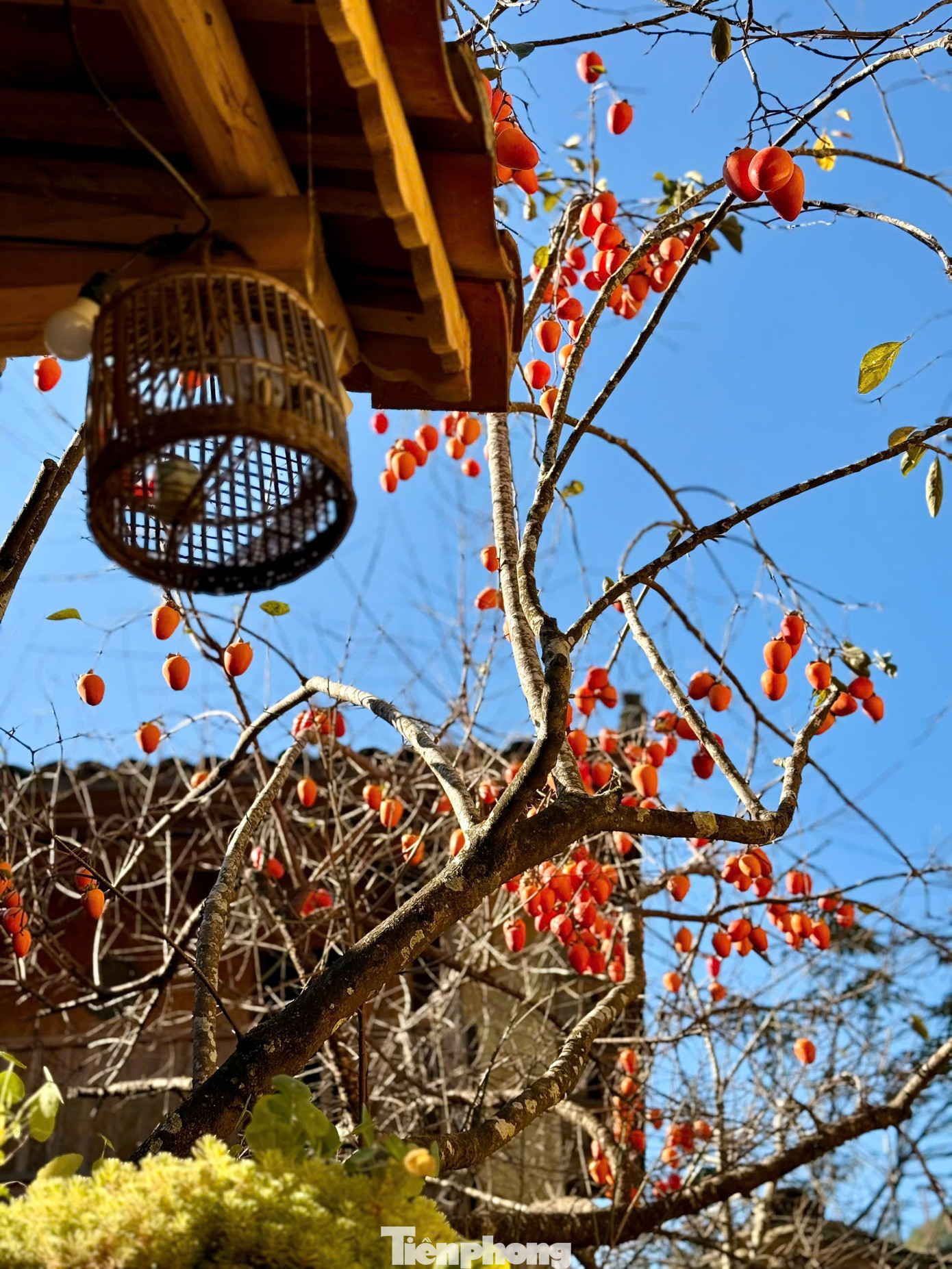 Tọa độ 'xịn nhất' ngắm toàn cảnh làng du lịch tốt nhất thế giới Lô Lô Chải- Ảnh 4.