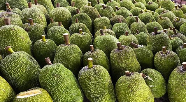 1 loại trái cây của Việt Nam chính thức được xuất khẩu chính ngạch sang Trung Quốc: Nông dân thu lợi lớn!- Ảnh 1. 1 loại trái cây của Việt Nam chính thức được xuất khẩu chính ngạch sang Trung Quốc: Nông dân thu lợi lớn!- Ảnh 1.