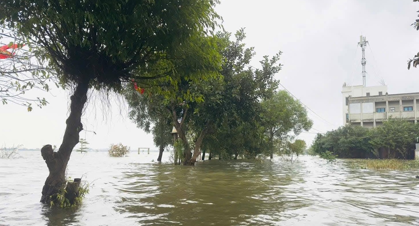 Biển nước bao vây xã Lệ Thủy, người dân hối hả chạy lũ- Ảnh 4.