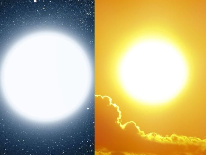 Những sự thật kỳ lạ trên thế giới mà ai cũng nghĩ là "fake", nhưng hóa ra thật 100%- Ảnh 5.