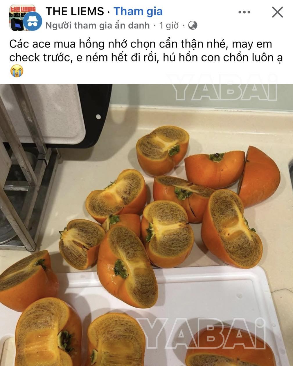 Loại hồng lạ, đắt hơn hồng thường, kh&ocirc;ng bị ch&aacute;t: Người Nhật xem l&agrave; 
