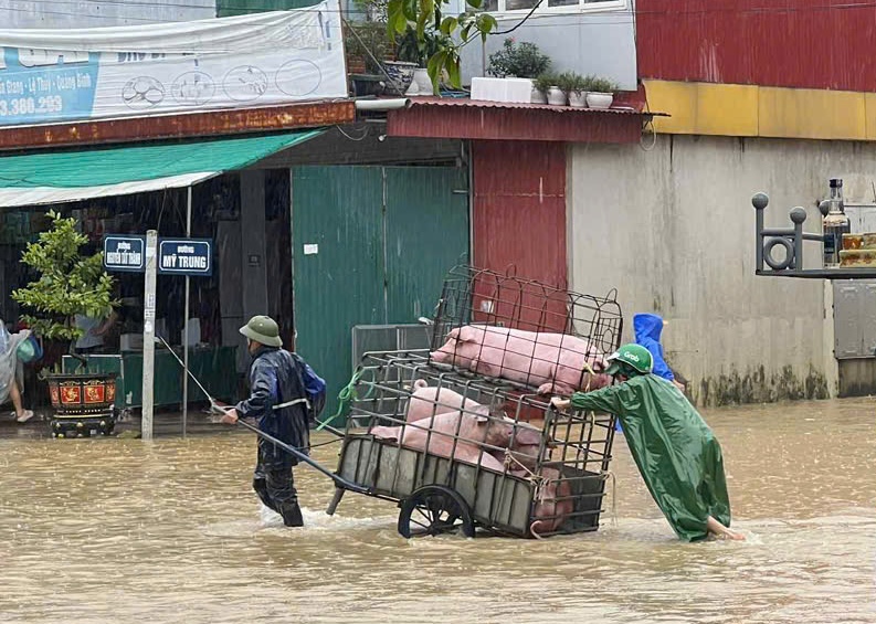 Biển nước bao vây xã Lệ Thủy, người dân hối hả chạy lũ- Ảnh 8.