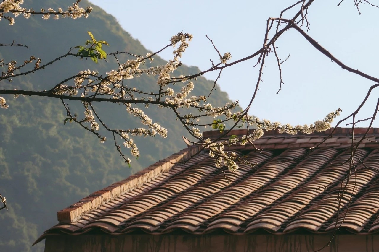 Làng du lịch cộng đồng Quỳnh Sơn được Tổ chức Du lịch Liên Hợp Quốc vinh danh “Làng du lịch tốt nhất năm 2025”- Ảnh 4.