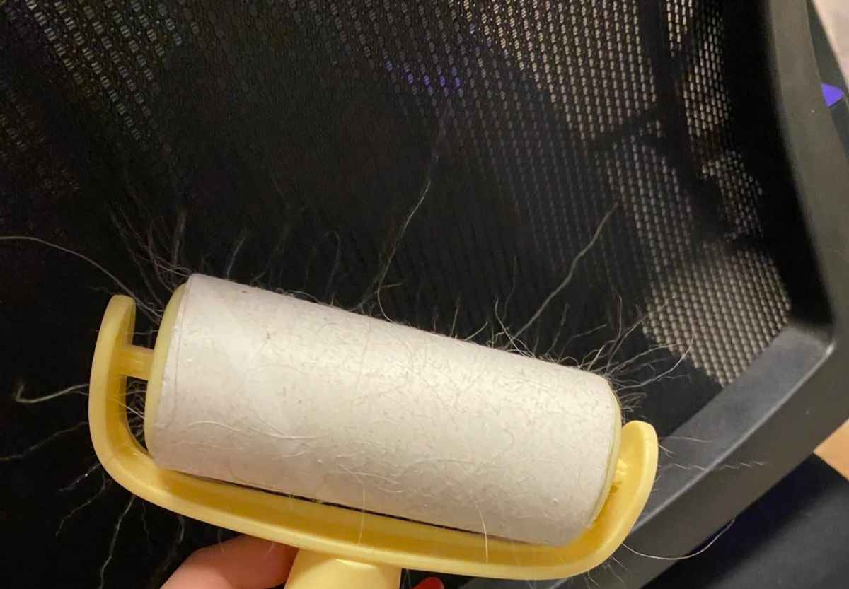 5 món giá rẻ rề nhưng chất lượng trên đỉnh chúng sinh- Ảnh 5.