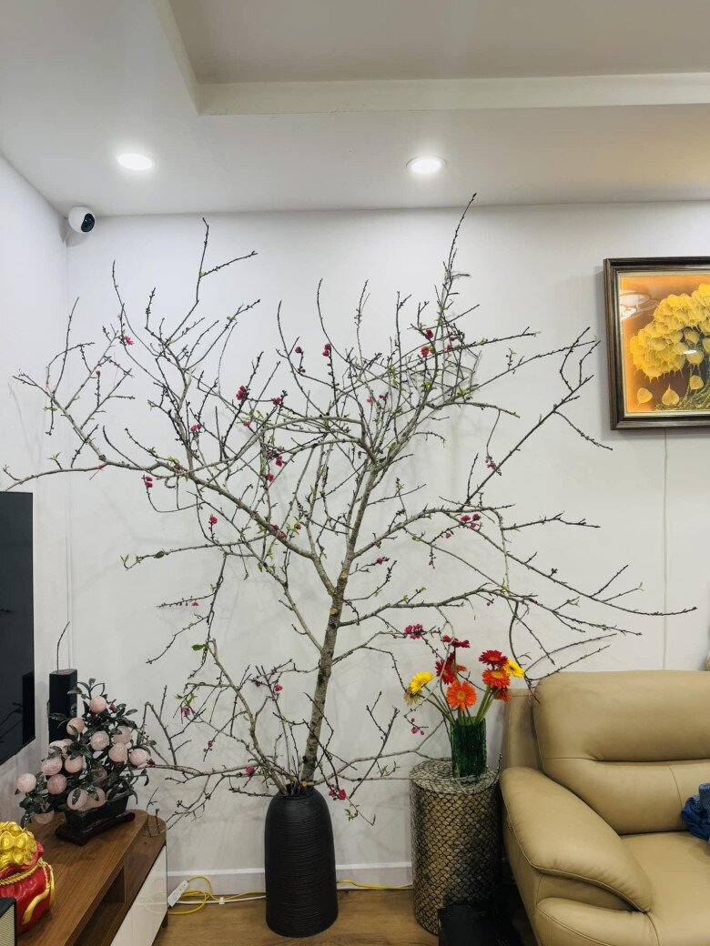 NSND Công Lý đang ở nhà thuê- Ảnh 13.