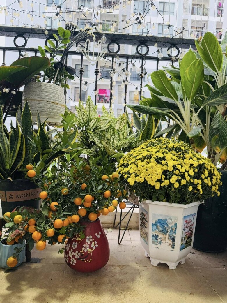 NSND Công Lý đang ở nhà thuê- Ảnh 6.