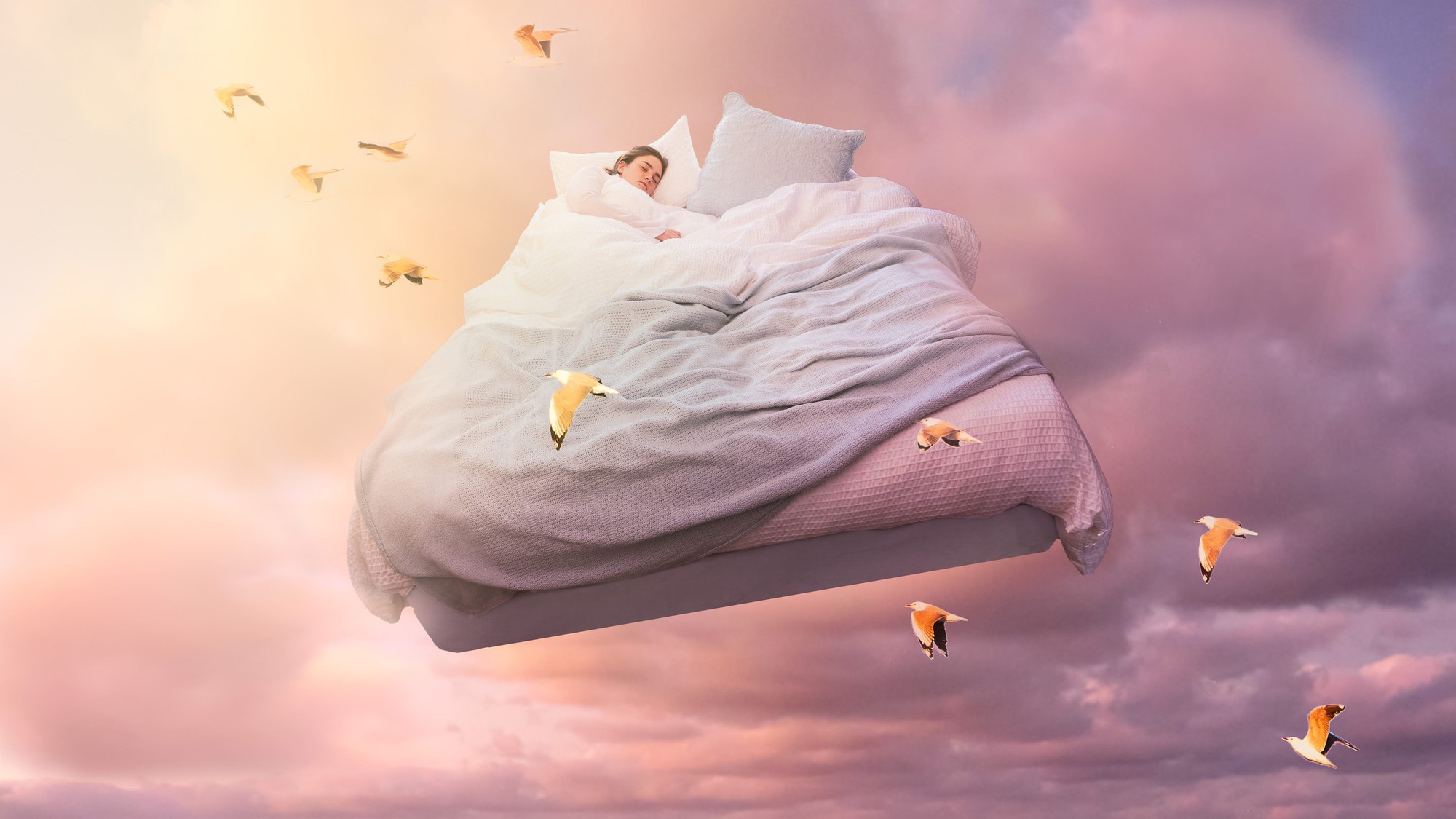 Vì sao chúng ta không thể nhớ được giấc mơ của mình?- Ảnh 1.