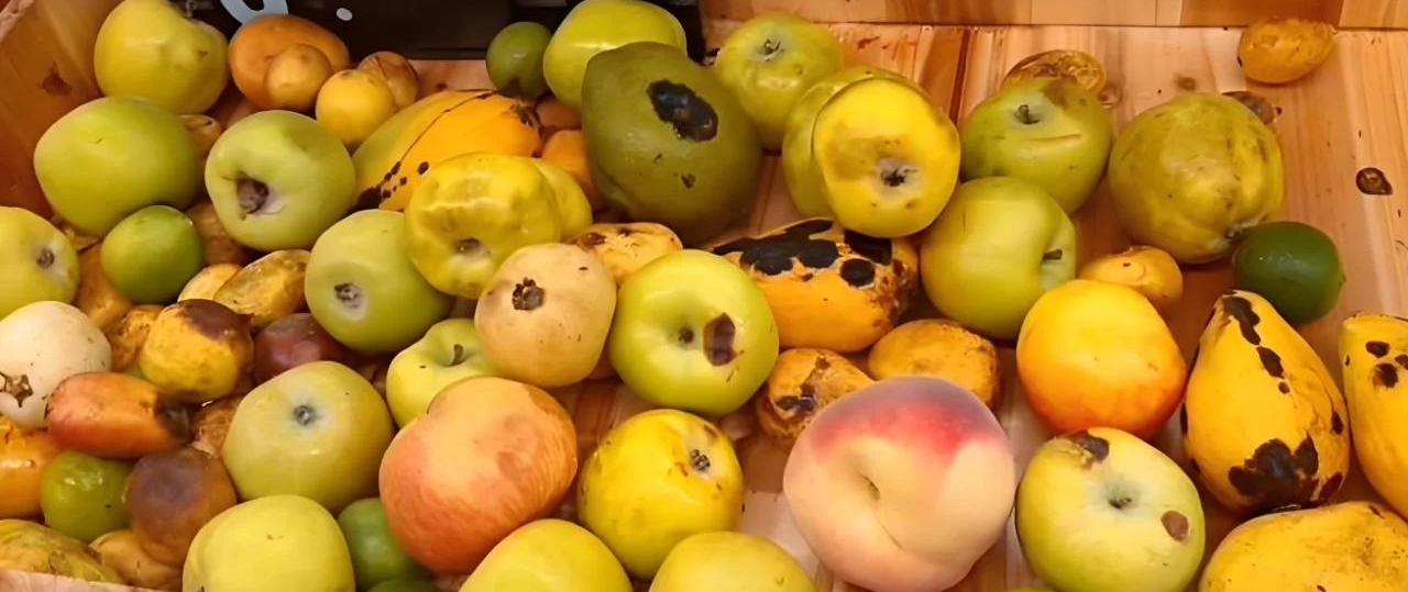 6 lối tiết kiệm mù quáng: Dẫn lối ung thư, đào hố chôn mình- Ảnh 4.