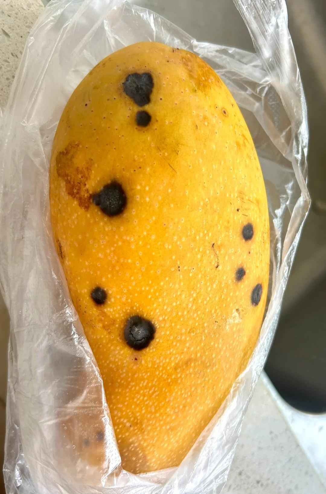 6 lối tiết kiệm mù quáng: Dẫn lối ung thư, đào hố chôn mình- Ảnh 5.