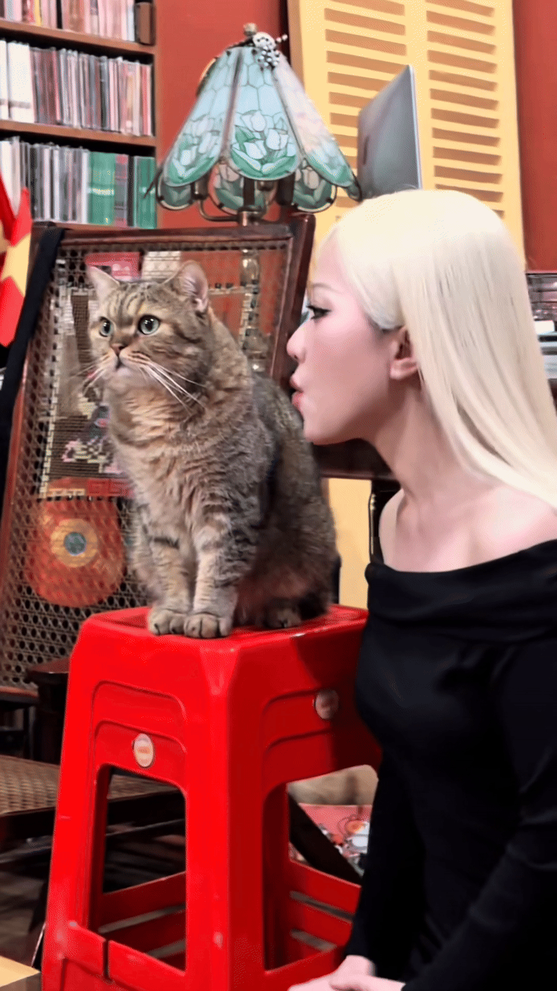 Nữ ca sĩ phiền nhất showbiz- Ảnh 4.