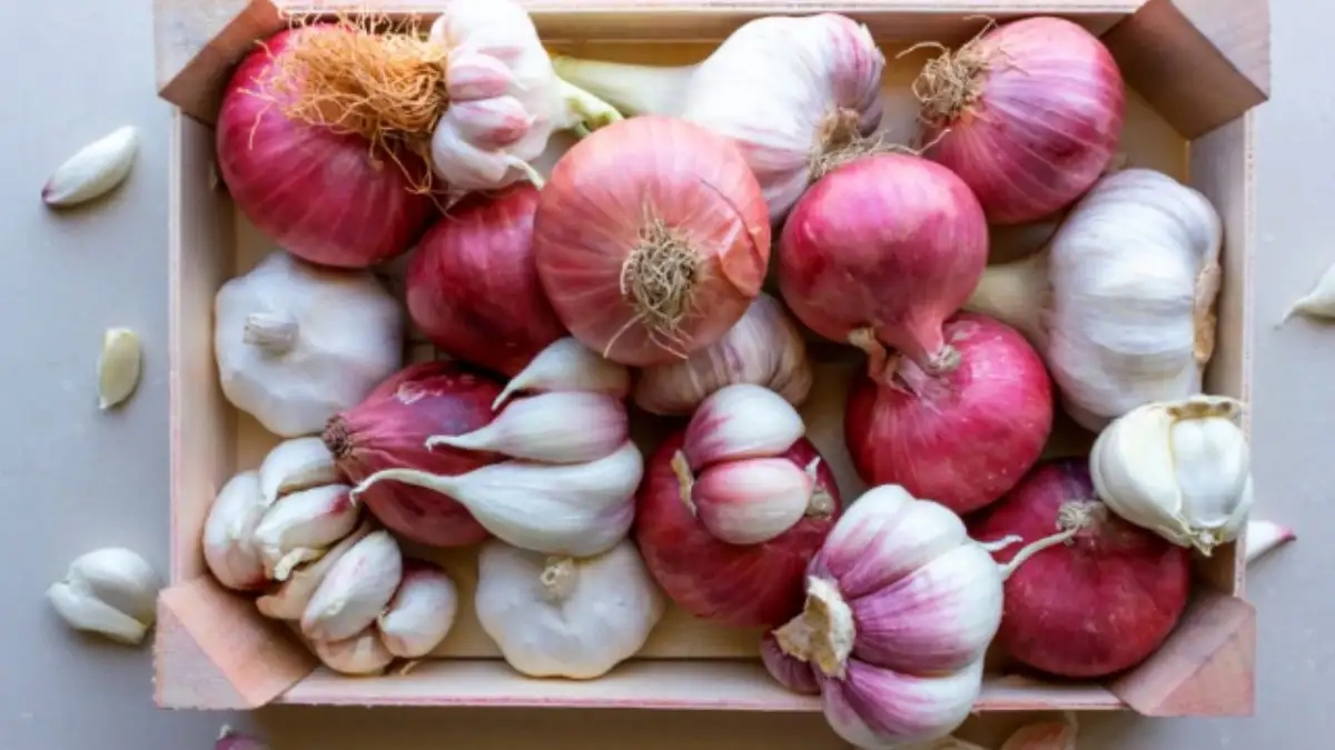 7 loại mùi rắn rất sợ: Để quanh nhà rắn sẽ không dám tới gần- Ảnh 5.