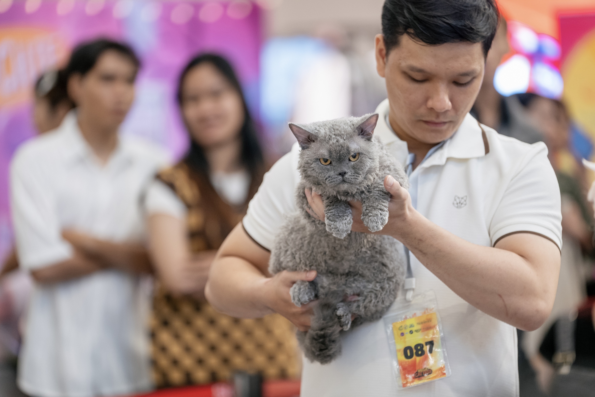 Lộ diện nhan sắc và thân thế của Hoa hậu mèo quốc tế Việt Nam 2025- Ảnh 12.