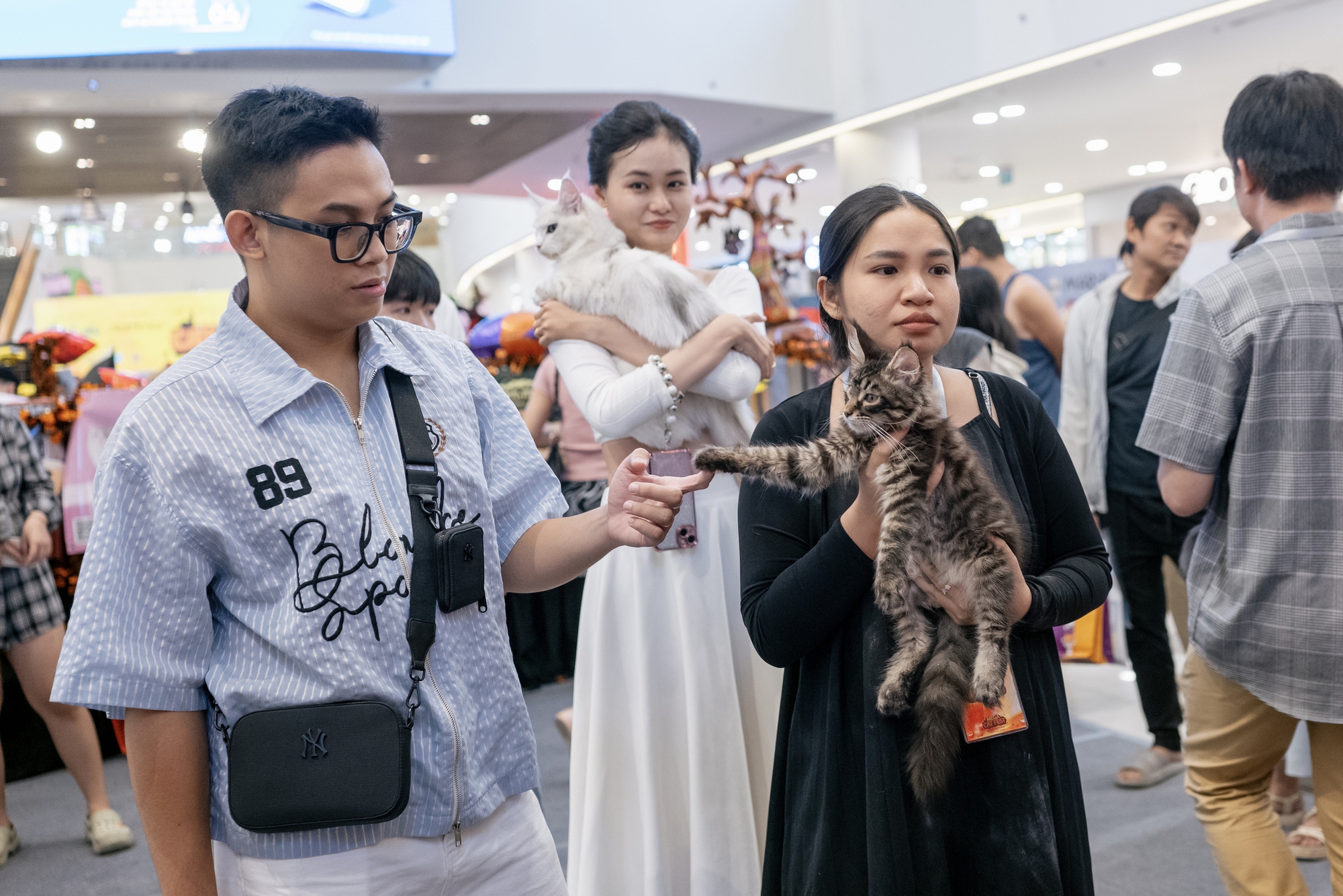 Lộ diện nhan sắc và thân thế của Hoa hậu mèo quốc tế Việt Nam 2025- Ảnh 10.