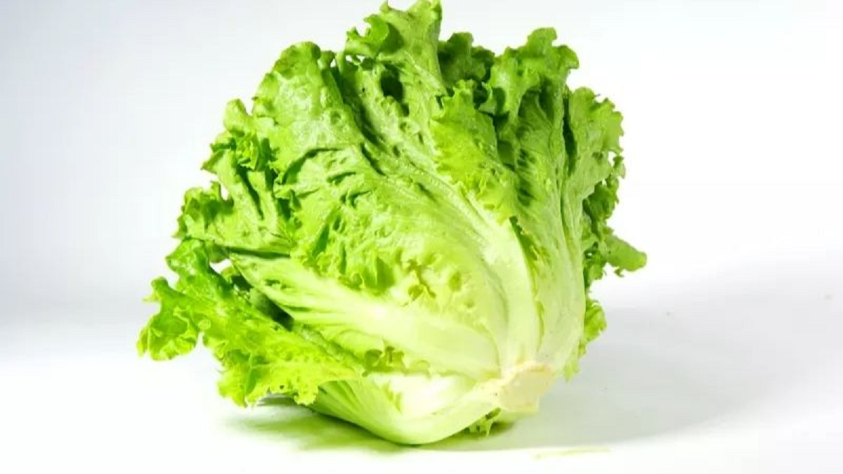 Mỹ đánh giá "rau tốt nhất thế giới" hóa ra là rau quen thuộc mọc um tùm ở Việt Nam- Ảnh 1.