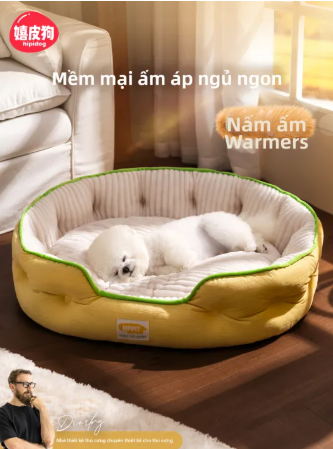 Không cần đặt hàng …