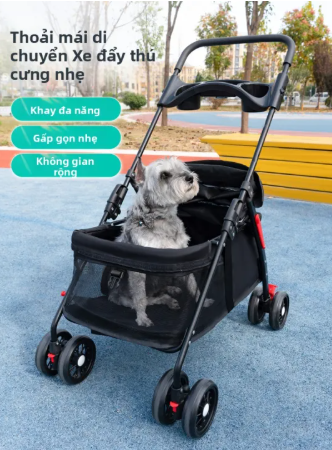 Không cần đặt hàng quốc tế, đồ hot cho 