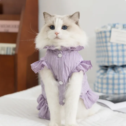 Không cần đặt hàng quốc tế, đồ hot cho 