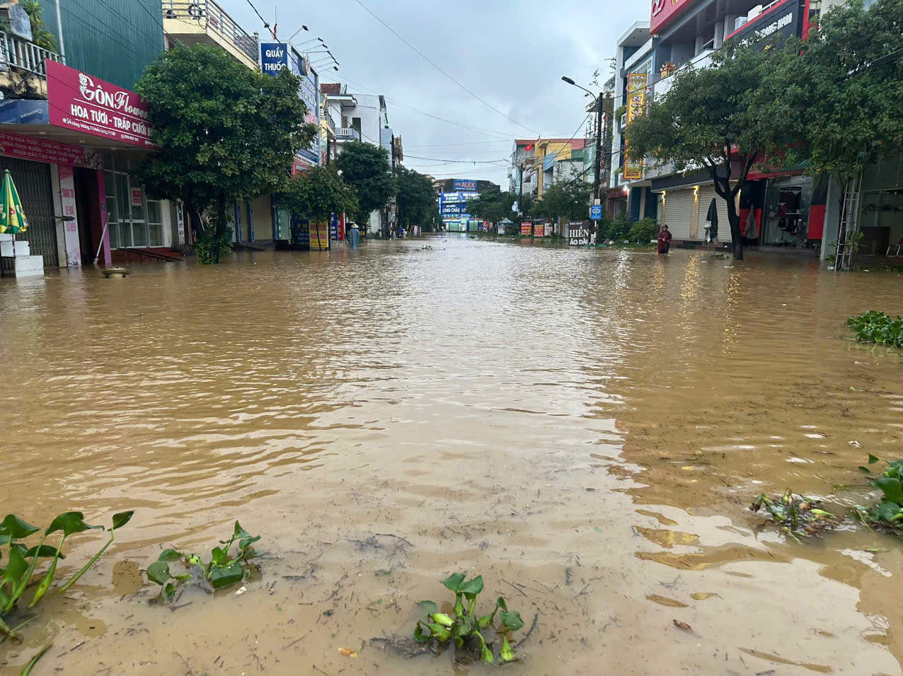 Biển nước bao vây xã Lệ Thủy, người dân hối hả chạy lũ- Ảnh 15.