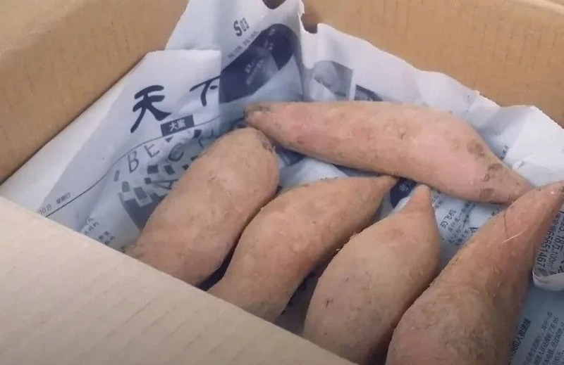 7 loại rau củ bảo quản trong tủ lạnh là SAI LẦM, tưởng tốt nhưng hại kinh khủng- Ảnh 4. 7 loại rau củ bảo quản trong tủ lạnh là SAI LẦM, tưởng tốt nhưng hại kinh khủng- Ảnh 4.