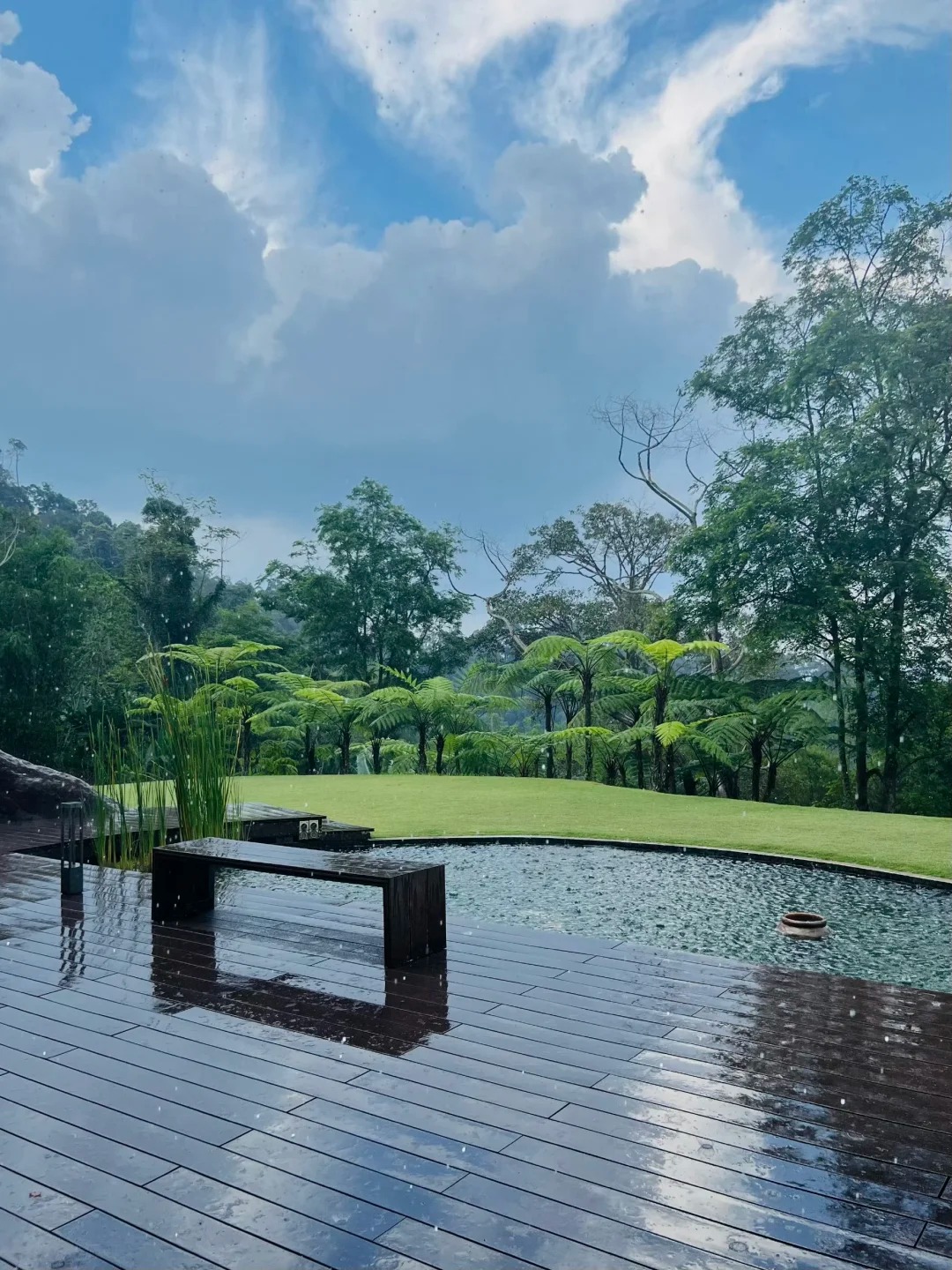 Biệt thự như resort của Hồ Tịnh: Nhà trong mơ giữa rừng nhiệt đới, chồng giàu lại chiều vợ hết mức- Ảnh 4.