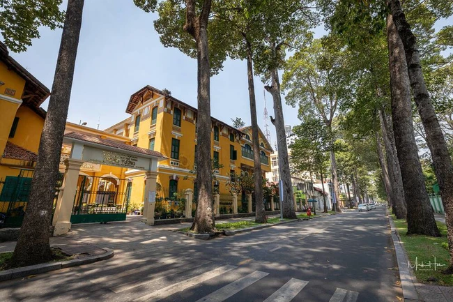 Từng là bệnh viện, ngôi trường này giờ siêu hot tại TP.HCM: Kiến trúc đẹp miễn chê, giơ máy lên là có ảnh đẹp- Ảnh 6.